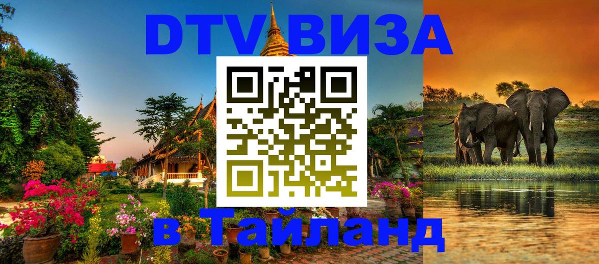 Оформление DTV визы под ключ: стоимость и тарифы, только загранпаспорт - 